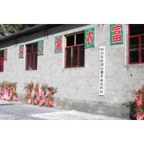 Lichuan Xinyuan Sweet Potato Professional Cooperative